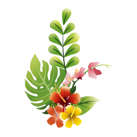Home & Garden